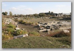 miletus
