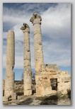 Temple de Zeus Olbios