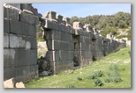 xanthos