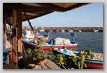 assos