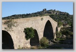 assos