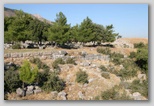 priene